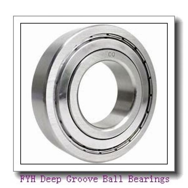 FYH ER206-18 Deep Groove Ball Bearings #2 image