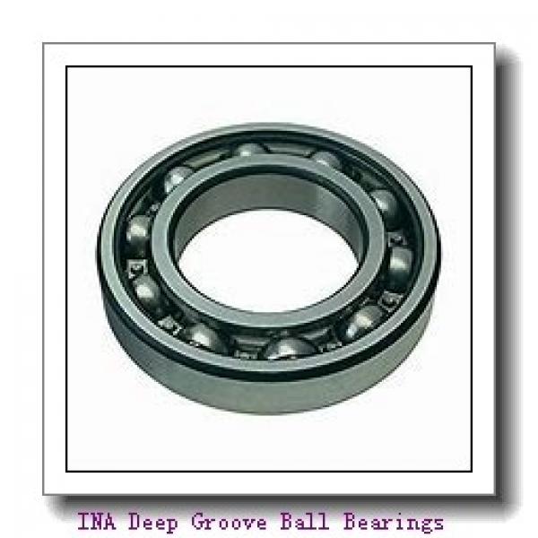 INA AY25-NPP-B Deep Groove Ball Bearings #1 image