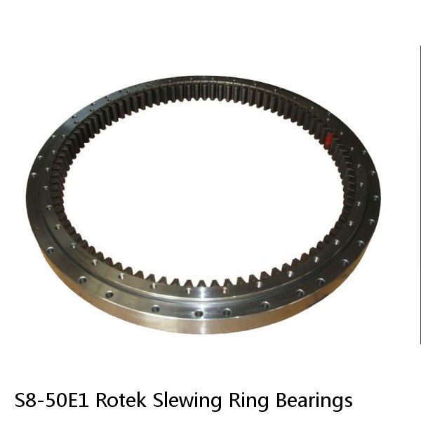 S8-50E1 Rotek Slewing Ring Bearings #1 image