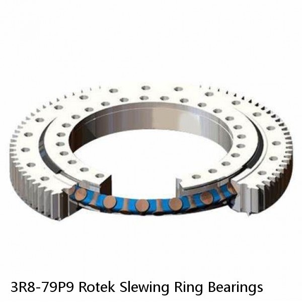 3R8-79P9 Rotek Slewing Ring Bearings #1 image