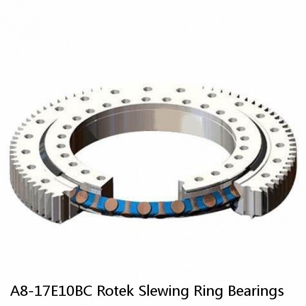 A8-17E10BC Rotek Slewing Ring Bearings #1 image