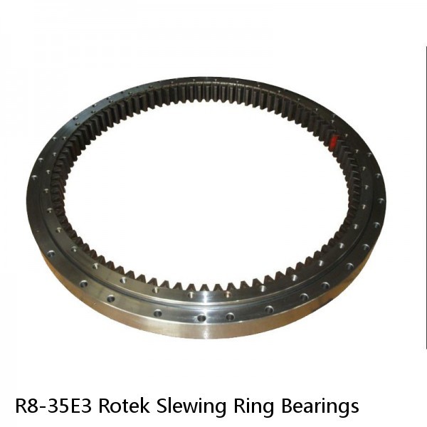 R8-35E3 Rotek Slewing Ring Bearings #1 image