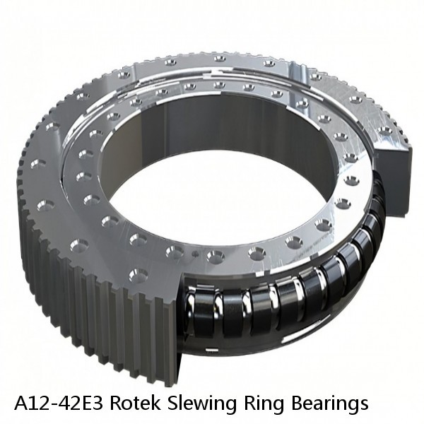 A12-42E3 Rotek Slewing Ring Bearings #1 image