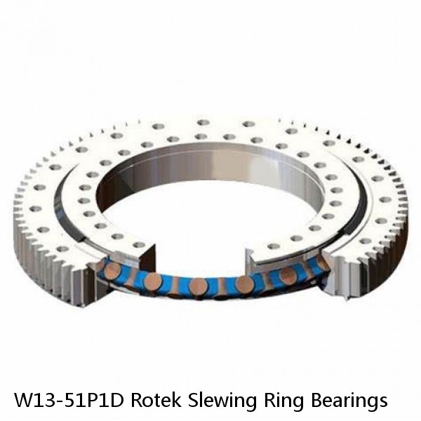 W13-51P1D Rotek Slewing Ring Bearings #1 image