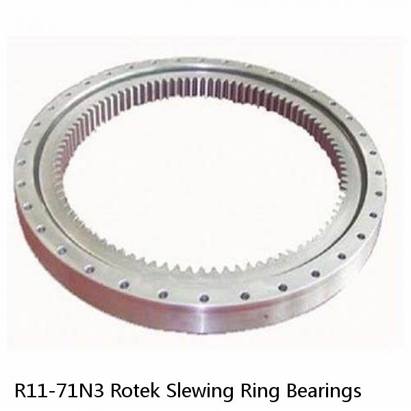 R11-71N3 Rotek Slewing Ring Bearings #1 image