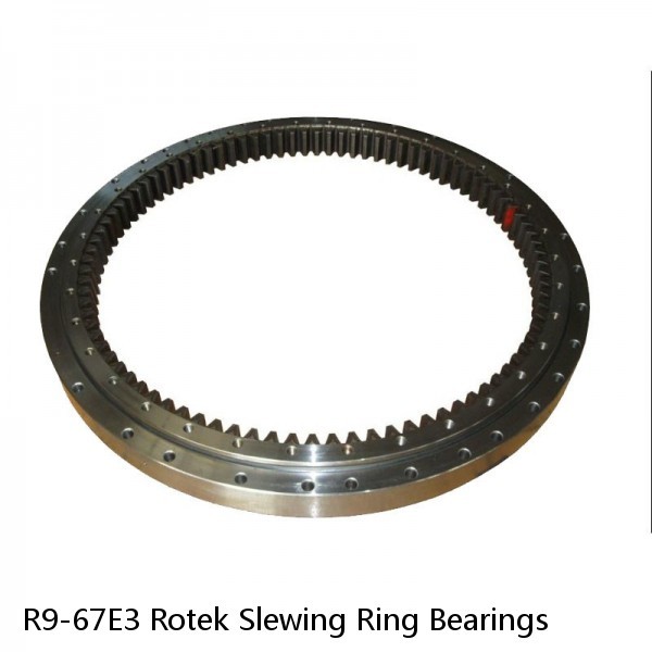 R9-67E3 Rotek Slewing Ring Bearings #1 image