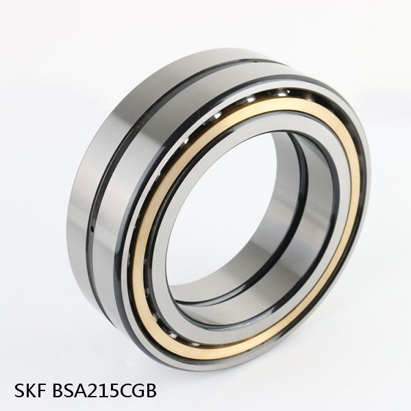 BSA215CGB SKF Brands,All Brands,SKF,Super Precision Angular Contact Thrust,BSA #1 image